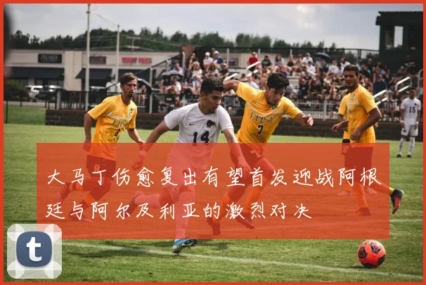 大马丁伤愈复出有望首发迎战阿根廷与阿尔及利亚的激烈对决
